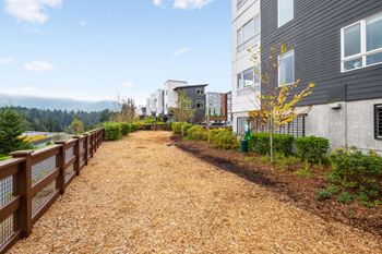 off leash dog park and pet station at Discovery West Apartments in  Issaquah, WA